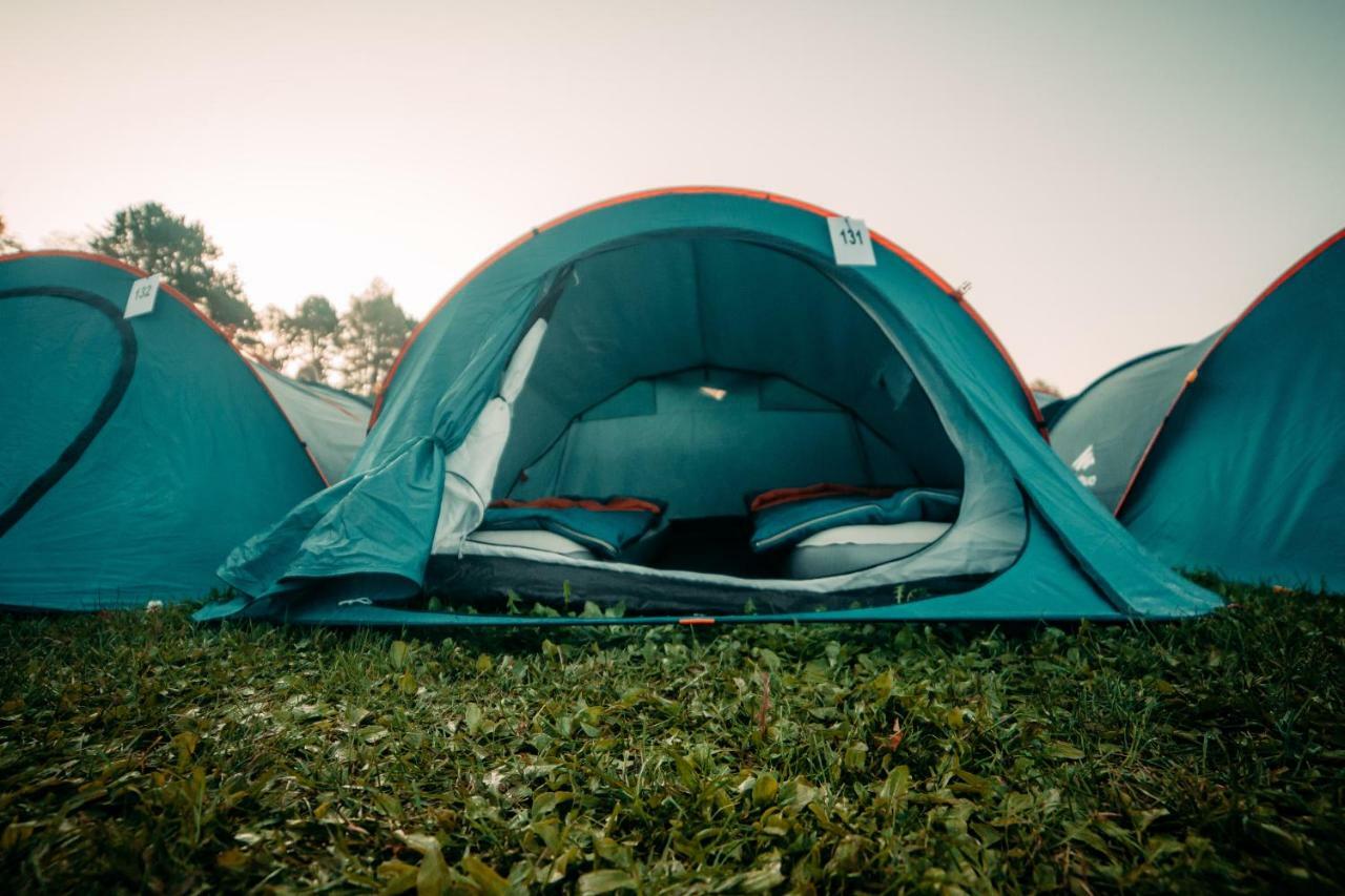 The Esn Kingsday Campsite Амстердам Экстерьер фото